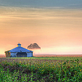 Barn between the trees?