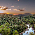 Bend in the River