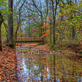 Bridge Over Coonville Creek. 